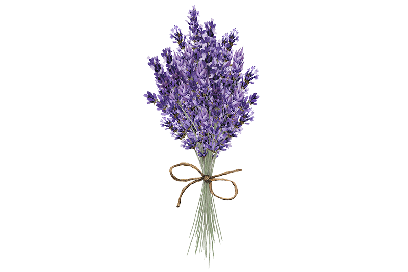 Lavender | Forest Essentials