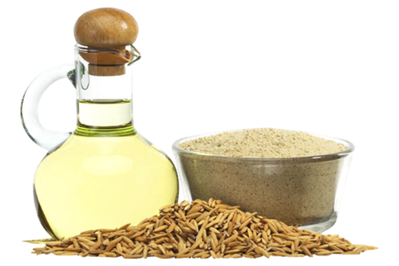 Rice Bran Oil Forest Essentials