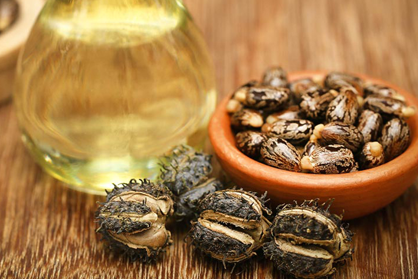 Benefits of Using Castor Oil for Lash and Brow Hair Growth | Forest  Essentials