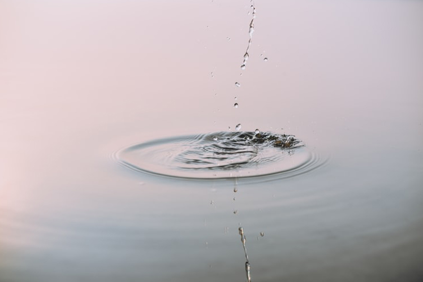 The Kapha dosha is essentially composed of Earth and water components The Kapha dosha is essentially composed of Earth and water components